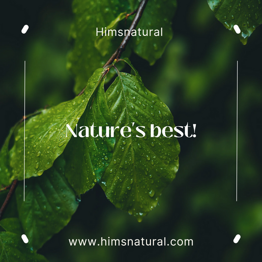 Boost Your Libido Naturally: Top Herbal Supplements for Men’s Sexual Health